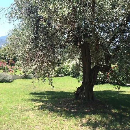 Emilia House ,private Yard, 1 Km To Town, Sleeps 4 * Σκόπελος